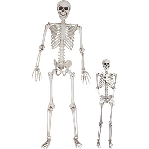 Life Size Skeleton on Your Driver Seat