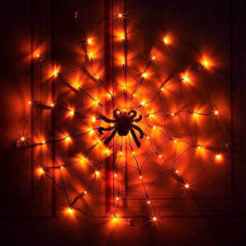Spider Web Lights