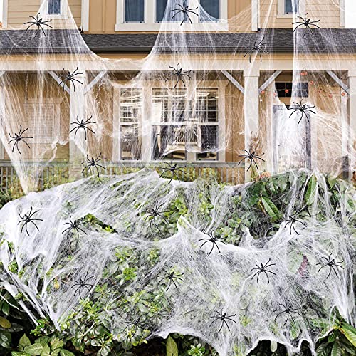 1000 sqft Spider Webs