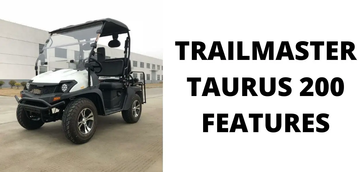 Features of the Trailmaster Taurus 200