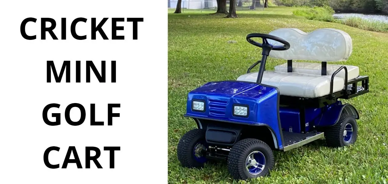 Mini electric Golf Cart