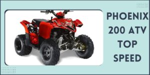 Polaris Phoenix 200 Review