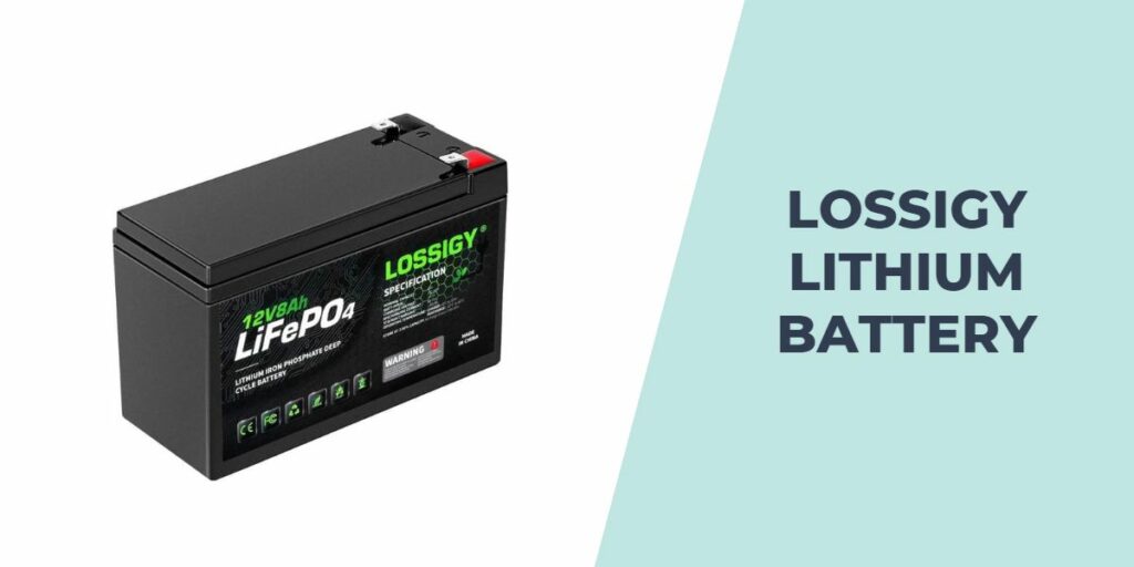 Lossigy Lithium Battery